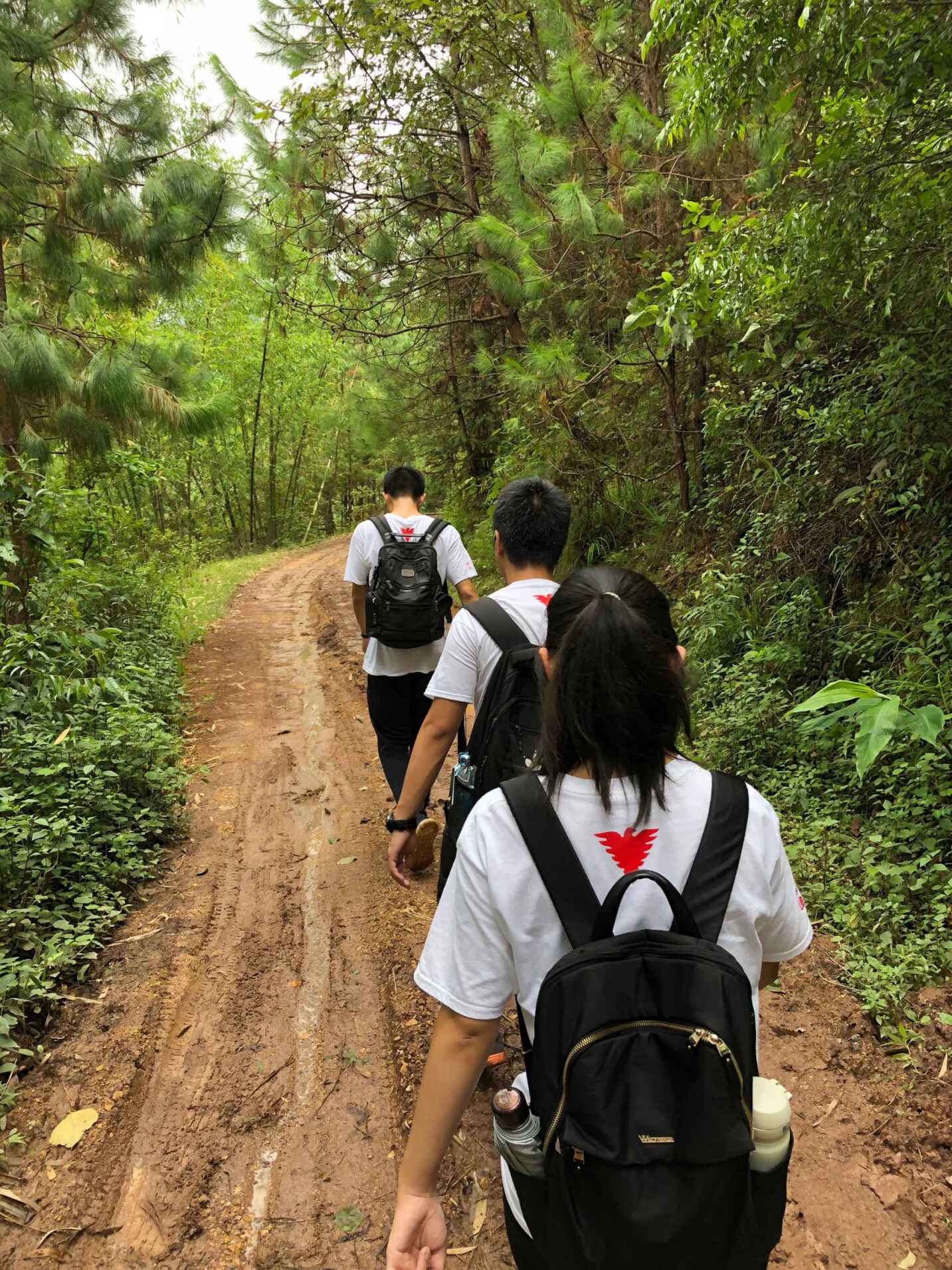 5b600c244146c.jpg 5b600c244146c.jpg