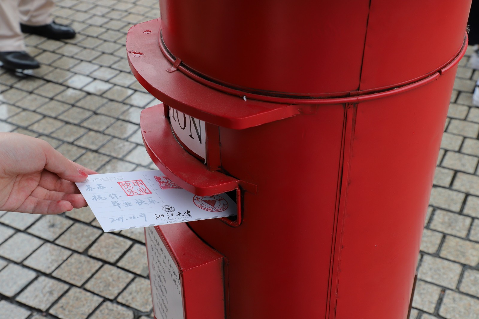 5d1edae3e9f1b.JPG 5d1edae3e9f1b.JPG