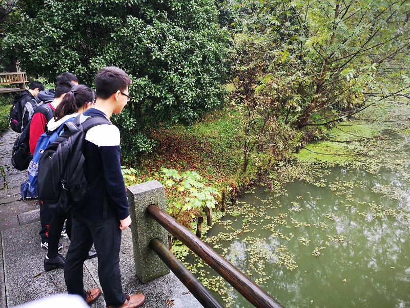 5bf243f004bd2.jpg 1.jpg